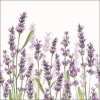 Салфетки Lavender Shades White
