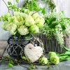 Салфетки White tulips