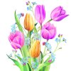 Салфетки Tulips bouquet