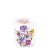 Свещ Pansies