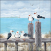 Салфетки Seagulls on the dock