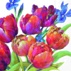 Салфетки Tulips of Joy