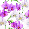 Салфетки Elegant orchids white