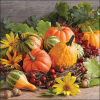 Салфетки Pumpkin varieties