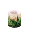 Свещ Evergreen trees